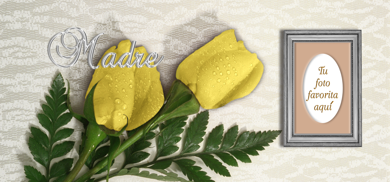 2 Roses Yellow Silver Madre (Spanish)